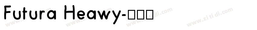 Futura Heawy字体转换